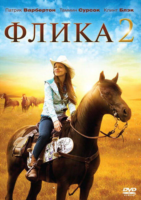 Флика 2 (2010) постер