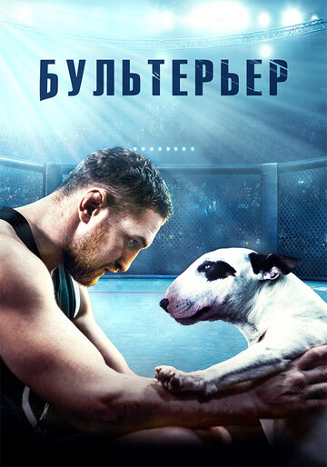 Бультерьер (2022)